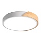 потолочный светодиодный светильник jazzway ppb sсandic-r 5036970