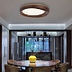 потолочный светильник imperiumloft runis 219478-26