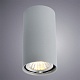 потолочный светильник arte lamp a1516pl-1gy
