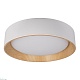 потолочный светодиодный светильник loft it coin 10202 white