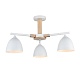 люстра на штанге lumion colange 8095/3c