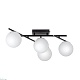 настенно-потолочный светильник citilux dorsy cl223142