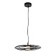 подвесной светильник lumion ledio camomile 8379/9l