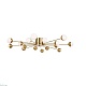 потолочная люстра freya celebrity fr5242cl-16bs