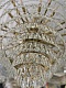 подвесная люстра newport 10125+43/c gold м0068938