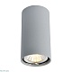 потолочный светильник arte lamp a1516pl-1gy