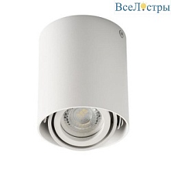 Накладной точечный светильник Kanlux TOLEO DTO50-W 26111