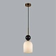 подвесной светильник odeon light midcent lolla 4361/1b