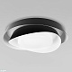 потолочный светильник loft it petale 10256 black
