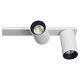 спот citilux axel cl512520