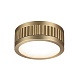 накладной светильник odeon light hightech manchester 7013/7cl