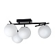 настенно-потолочный светильник citilux dorsy cl223142