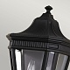 уличный настенный светильник feiss fe-cotsln7-bk