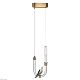 подвесной светильник odeon light lark l-vision 5431/2l