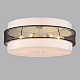 потолочный светильник lumion animaisa 8002/6c