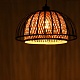 подвесной светильник arte lamp woodstock a7071sp-1bk
