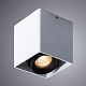 потолочный светильник arte lamp pictor a5654pl-1wh