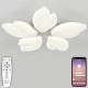 потолочная люстра natali kovaltseva effect led lamps 81116