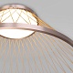 потолочная люстра eurosvet cesta 40019/1 led коричневый a069291