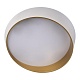 потолочный светодиодный светильник loft it coin 10199 white