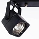 спот arte lamp lente a1314pl-2bk