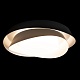 потолочный светильник loft it petale 10256 black