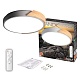 потолочный светодиодный светильник jazzway ppb sсandic-r 5037151