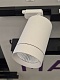 светильник на штанге lightstar canno 303264
