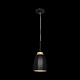 подвесной светильник loft it watchman loft4402a-bl