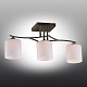 потолочная люстра omnilux pisticci oml-55317-03