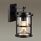 уличный настенный светильник odeon light nature magus 4964/1w
