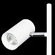 торшер citilux twin cl809010n