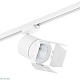 трековый светильник lightstar canno led (301264+202996) c126496