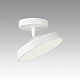 потолочный светодиодный светильник sonex mitra mira white 7655/12l