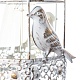 бра arte lamp cincia a5090ap-1wg
