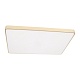 потолочный светодиодный светильник loft it flims 10228/e