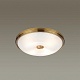 настенно-потолочный светильник odeon light pelow 4956/4