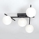 настенно-потолочный светильник citilux dorsy cl223142