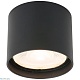 уличный потолочный светильник elektrostandard light led 4690389176975